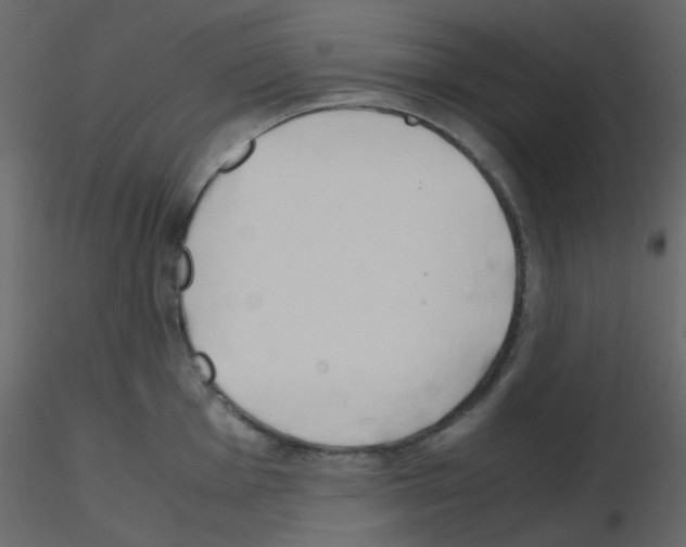 X0000115761001200912241725