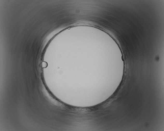 X0000115761003200912241725