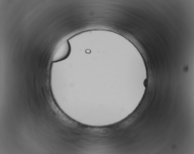 X0000115761004200912241725