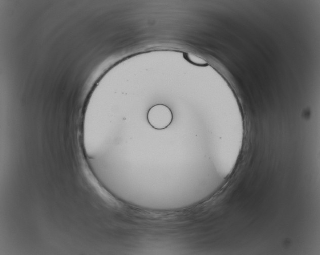 X0000115761005200912241725
