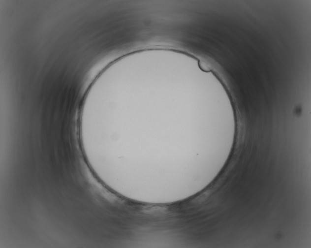 X0000115761006200912241725