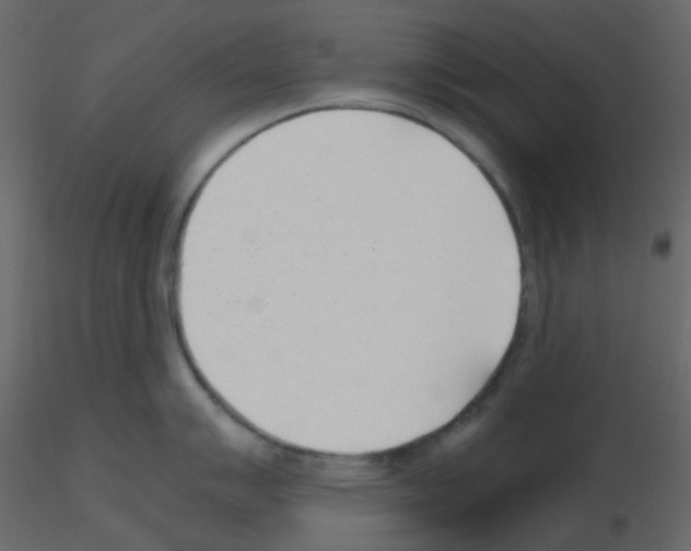 X0000115761007200912241725