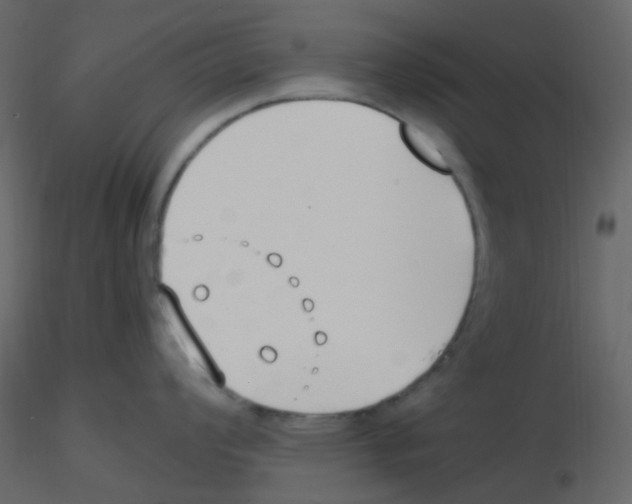 X0000115761008200912241725