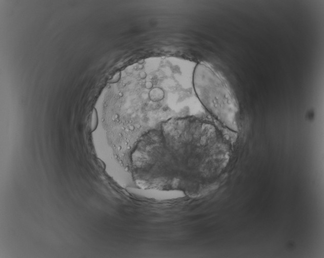 X0000115761009200912241724