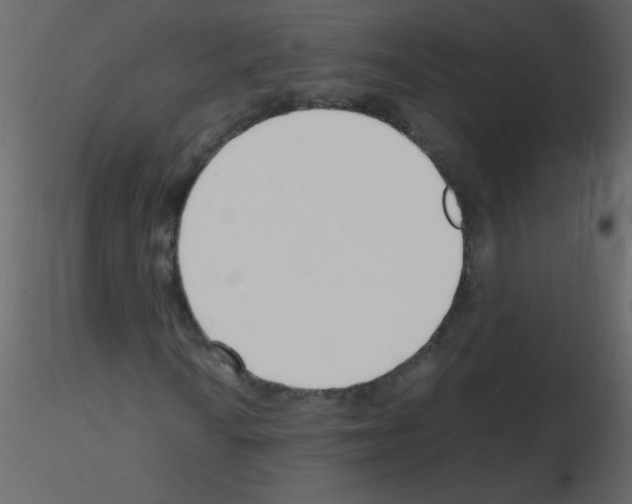X0000115761010200912241724