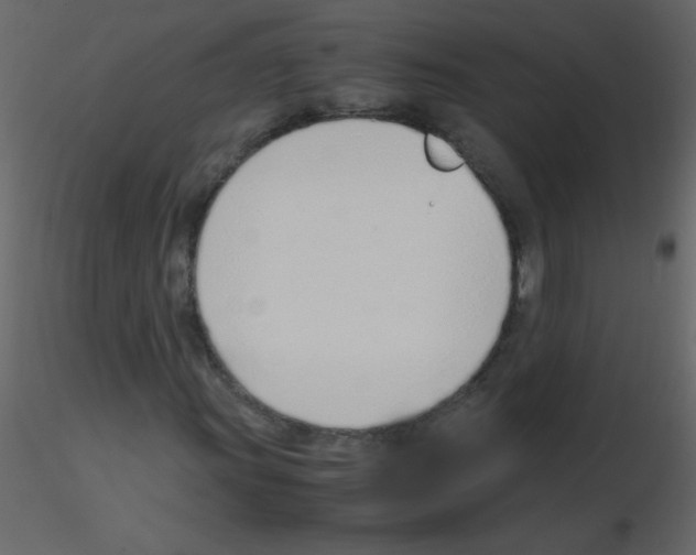 X0000115761011200912241724