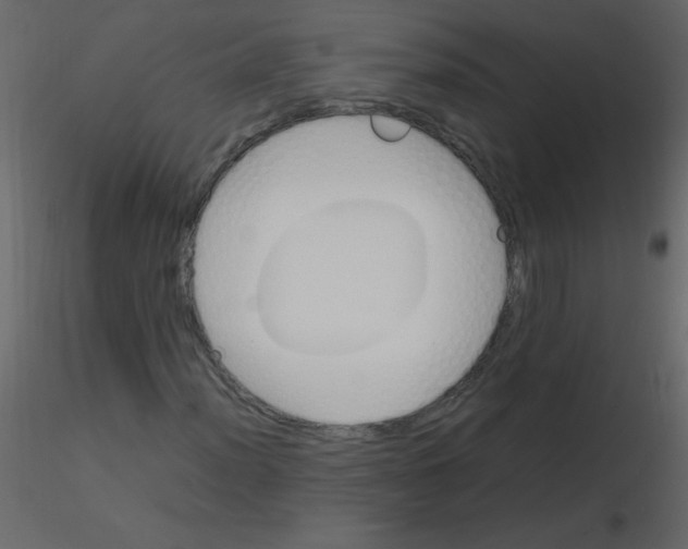 X0000115761012200912241724