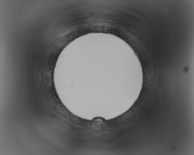 X0000115761013200912241724