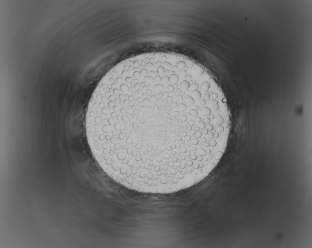 X0000115761014200912241724