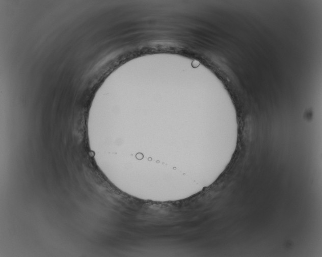 X0000115761015200912241724