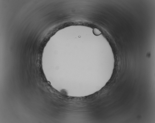 X0000115761016200912241724