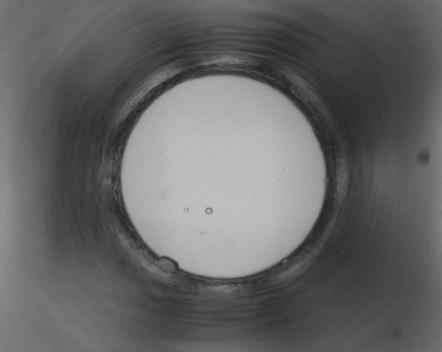 X0000115761017200912241724