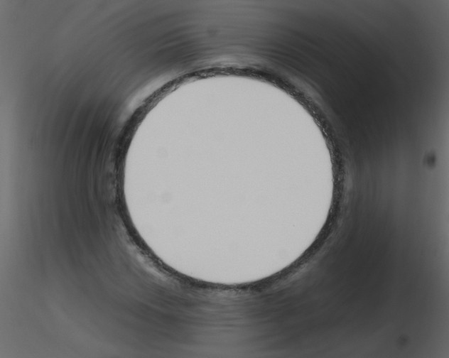 X0000115761018200912241724