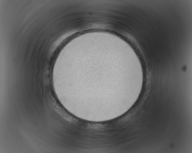 X0000115761019200912241724