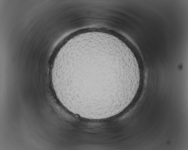 X0000115761021200912241724