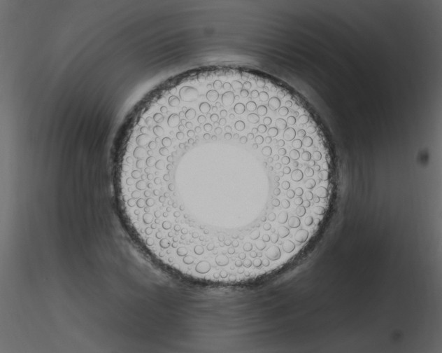 X0000115761022200912241724