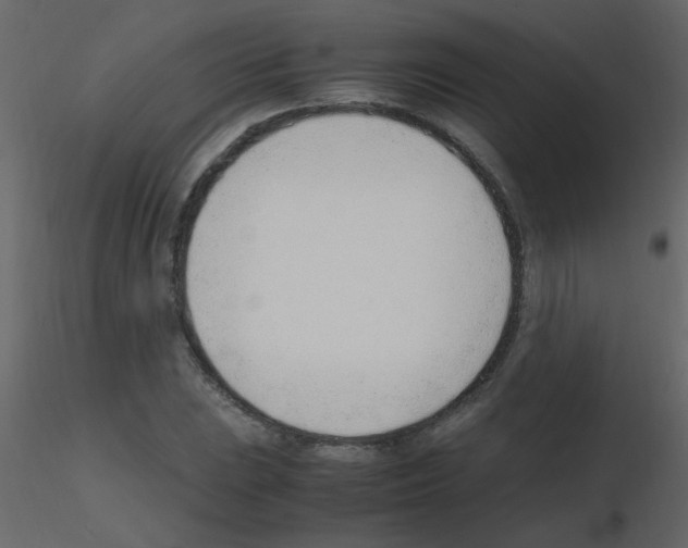 X0000115761023200912241724