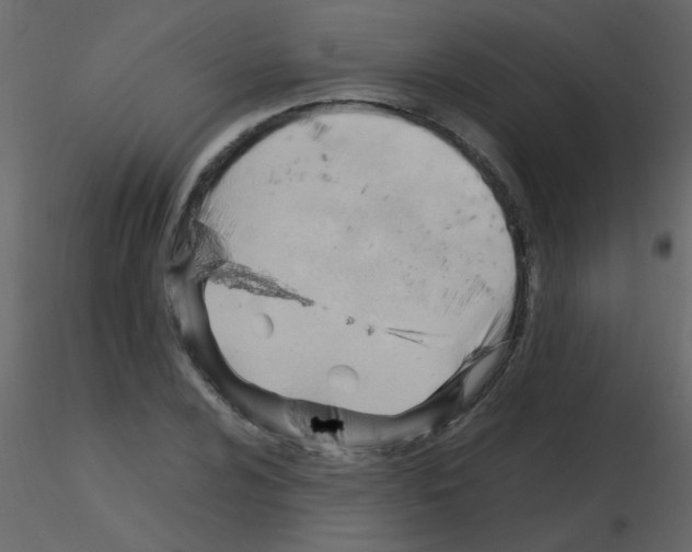 X0000115761024200912241724