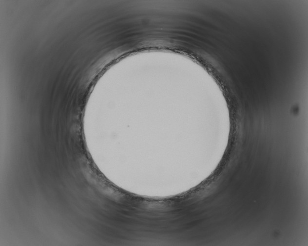 X0000115761025200912241724