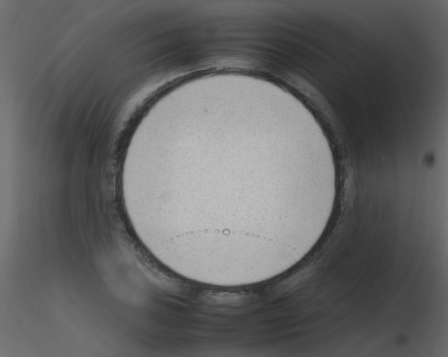X0000115761027200912241724