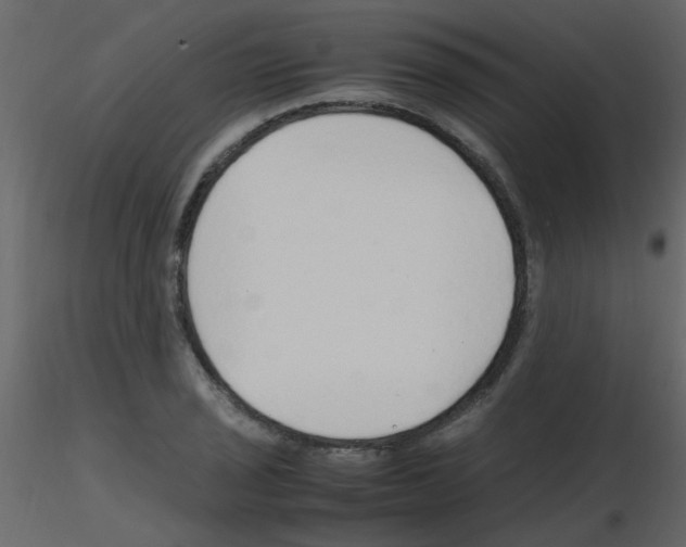X0000115761029200912241724