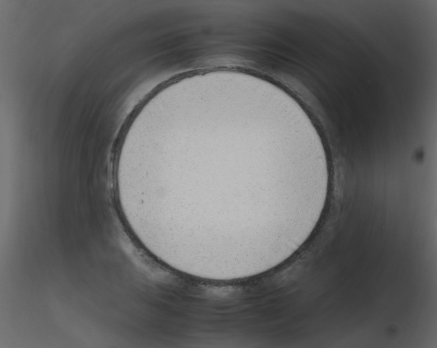 X0000115761031200912241724