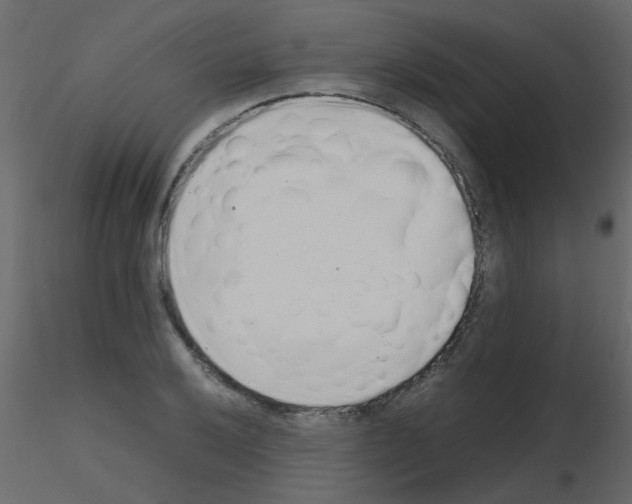 X0000115761032200912241724