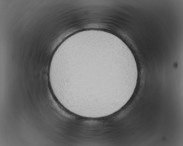 X0000115761033200912241724