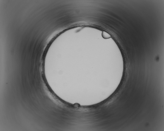 X0000115761034200912241725