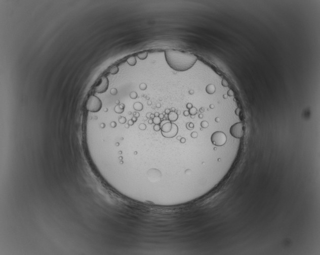 X0000115761035200912241725