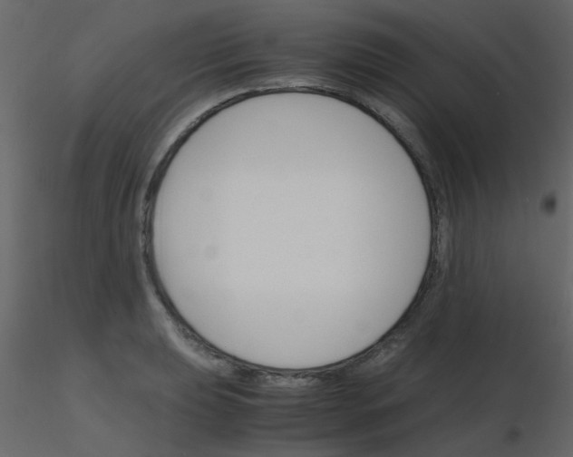 X0000115761039200912241725