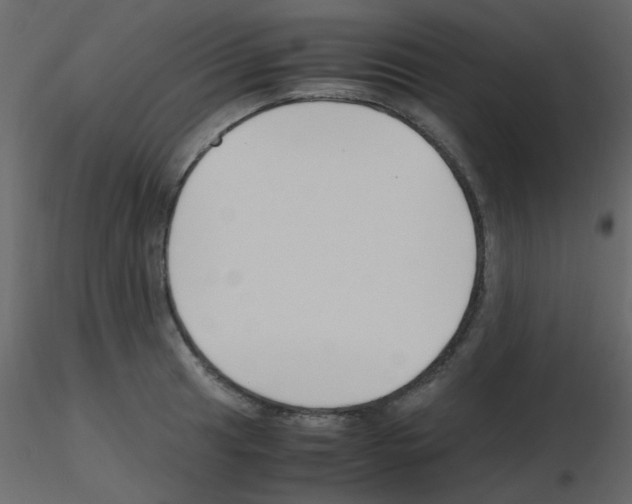 X0000115761041200912241725