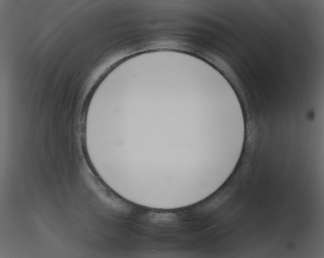 X0000115761043200912241725
