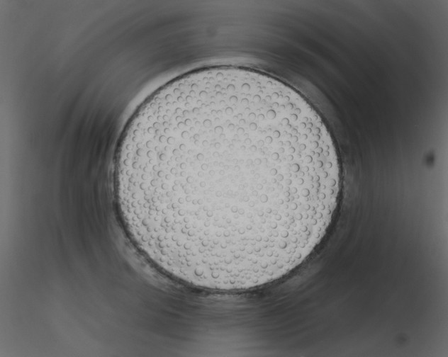 X0000115761044200912241725