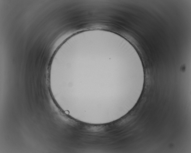 X0000115761047200912241725