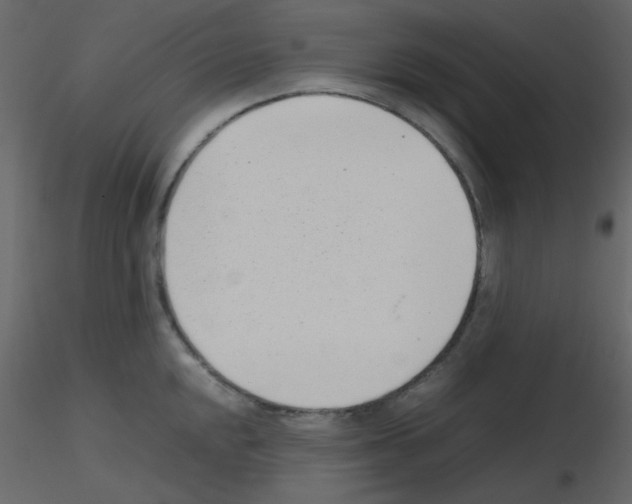 X0000115761048200912241725