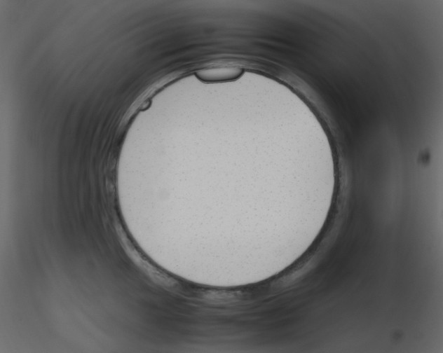 X0000115761049200912241725