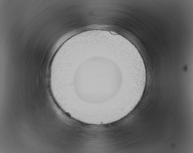 X0000115761050200912241725