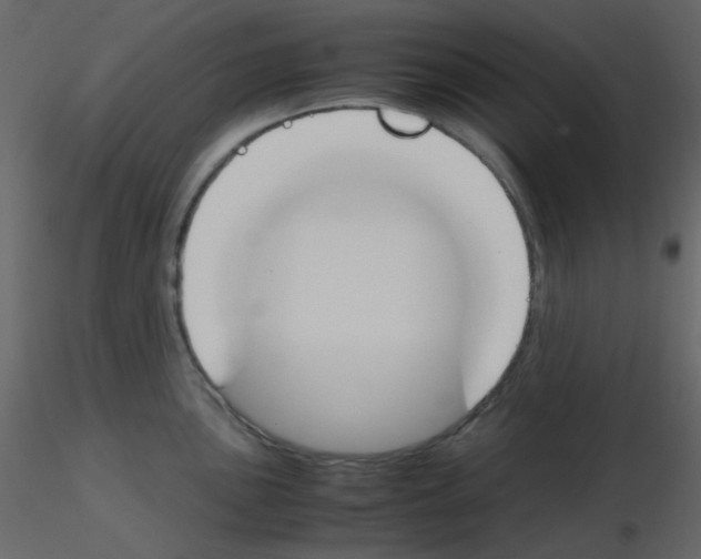 X0000115761051200912241725