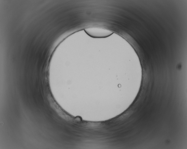 X0000115761052200912241725