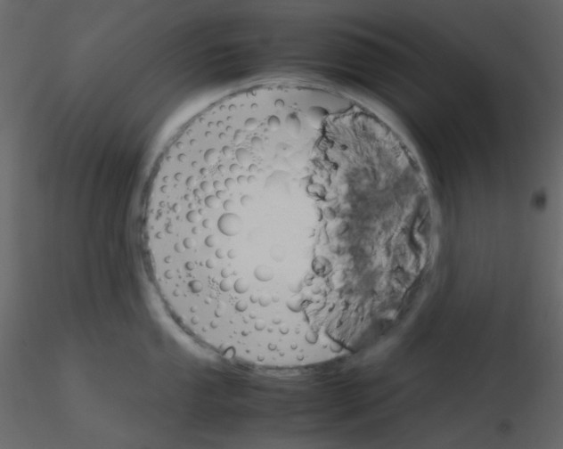 X0000115761053200912241725