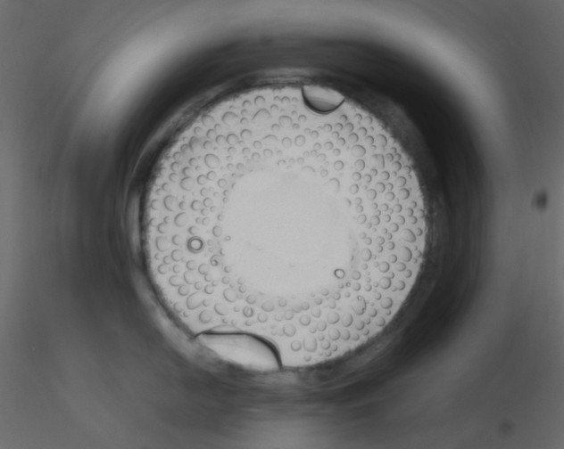 X0000115761054200912241725