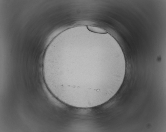 X0000115761055200912241725