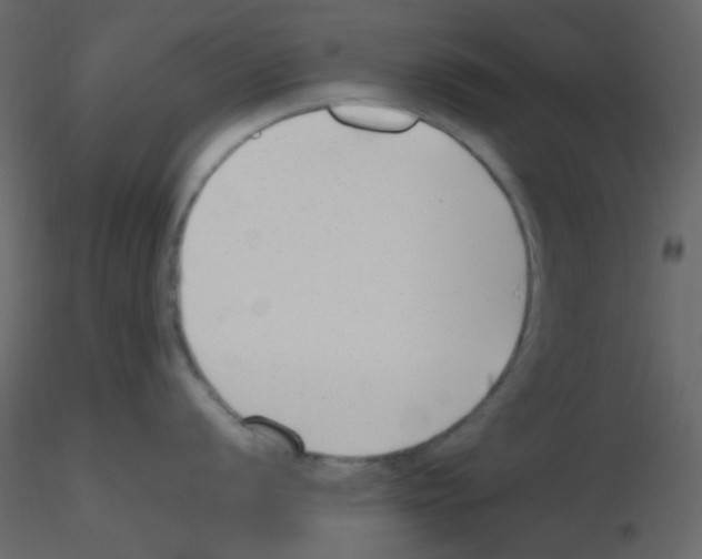 X0000115761056200912241725