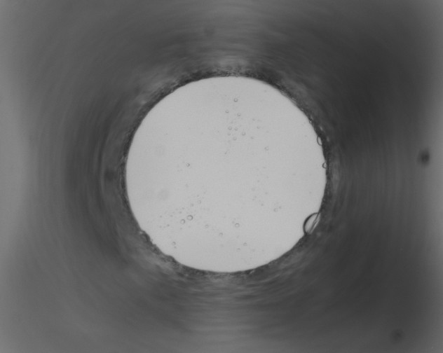 X0000115761057200912241724