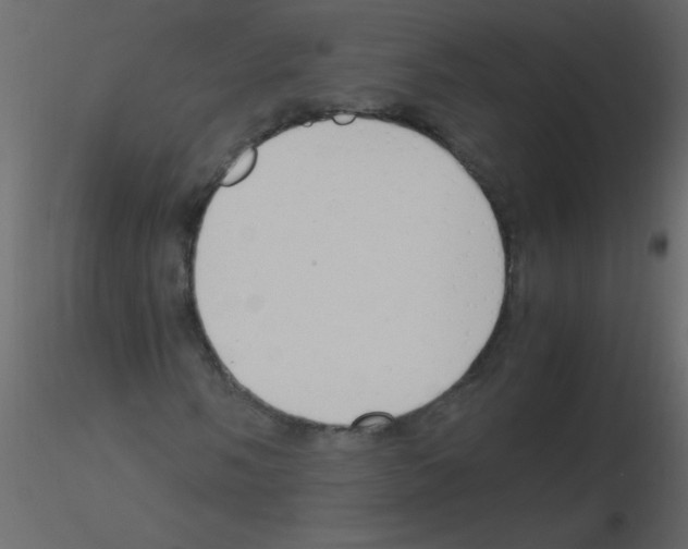 X0000115761058200912241724