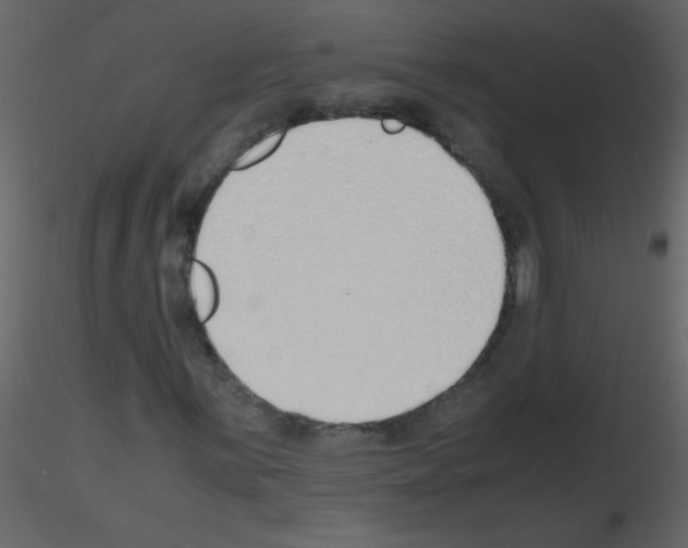 X0000115761059200912241724