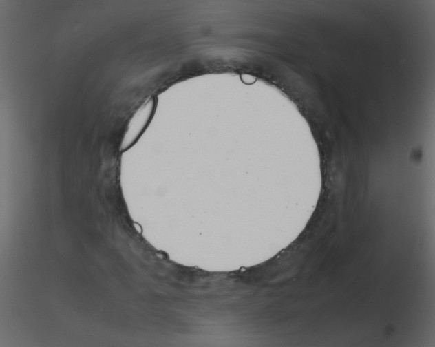 X0000115761061200912241724