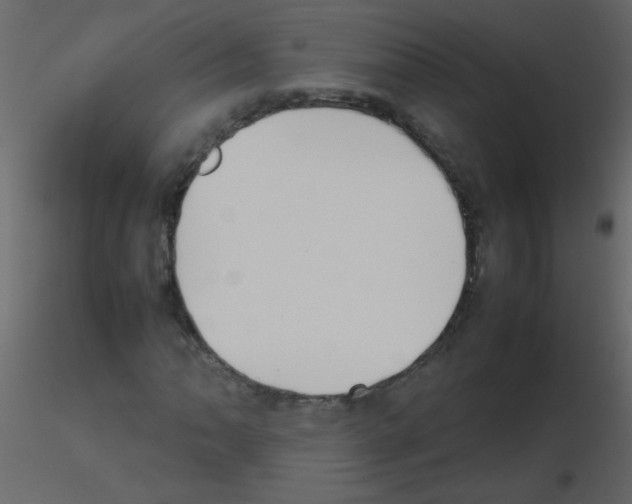 X0000115761062200912241724