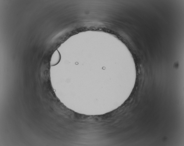 X0000115761063200912241724